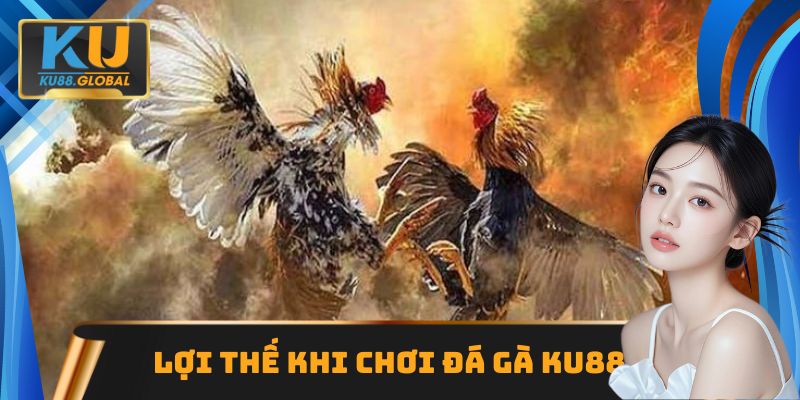 Điểm cộng khi chơi Đá gà Ku88